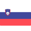 Slovenia flag